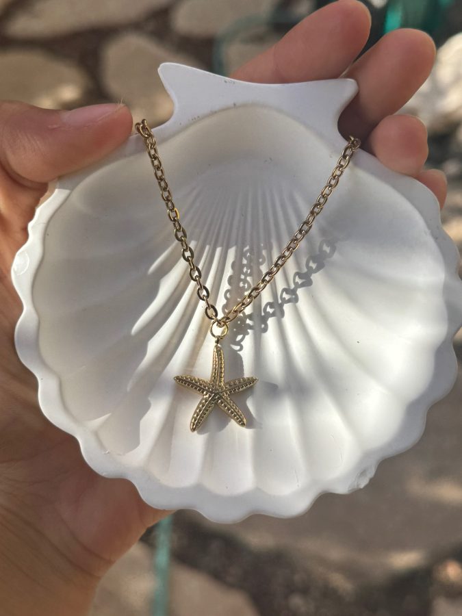 שרשרת כוכב ים
